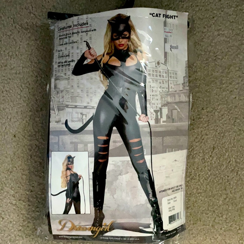 Cat Woman “Cat Fight” Costume by Dream Girl, Small